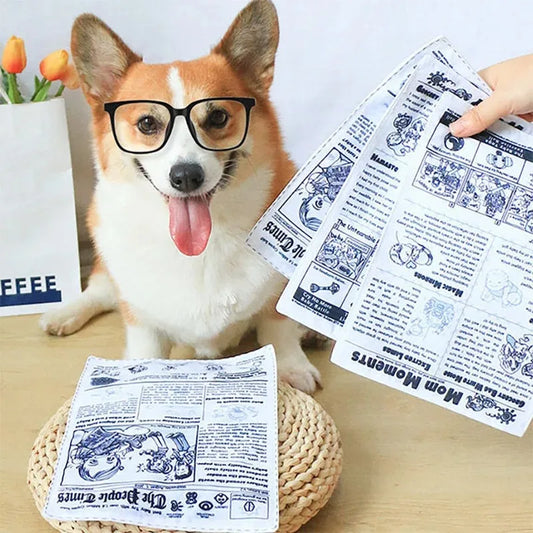 Newspaper Pet Toy